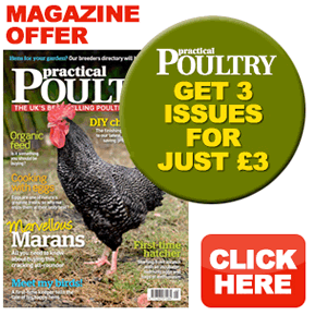 Practical Poultry Magazine