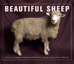 Beautiful Sheep: Portraits of Champion Breeds by Kathryn Dun