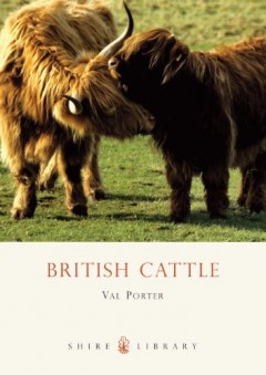 British Cattle by Val Porter