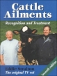 Cattle Ailments: Recognition and Treatment