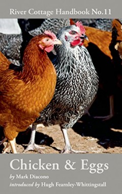 Chicken & Eggs: River Cottage Handbook No.11 by Mark Diacono