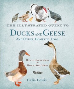 The Illustrated Guide to Ducks and Geese and Other Domestic Fowl by Celia Lewis