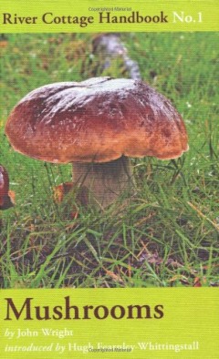 Mushrooms: River Cottage Handbook No.1 by John Wright