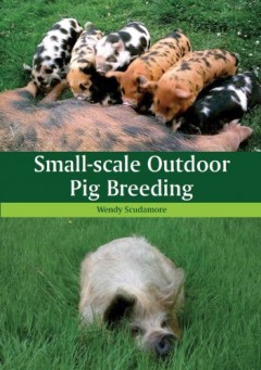 Small-Scale Outdoor Pig Breeding by Wendy Scudamore