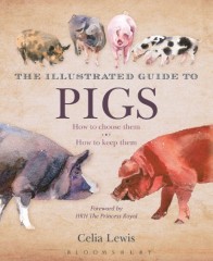 The Illustrated Guide to Pigs by Celia Lewis