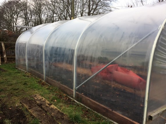 Cleaned polytunnel