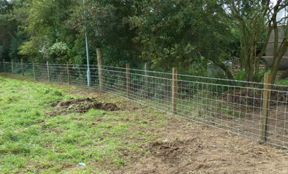 Stock fencing