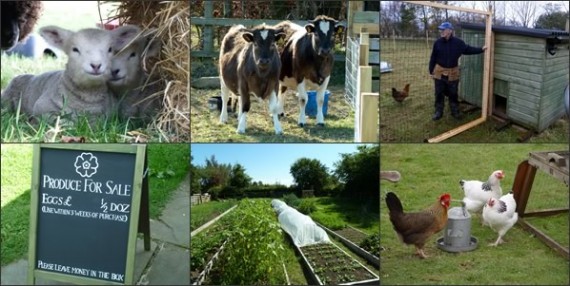 Introduction to smallholding course