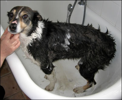 Meg having her bath