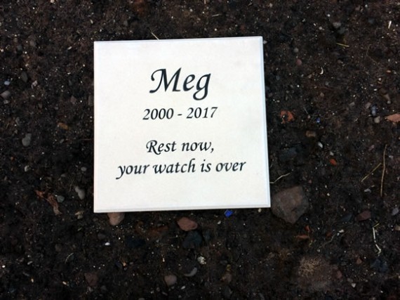 Meg's stone