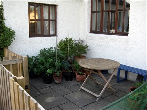 Potatoes and herbs on the patio