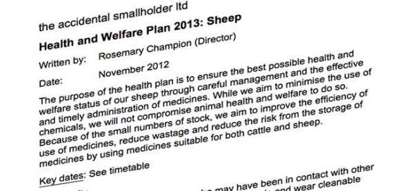 Sheep health plan