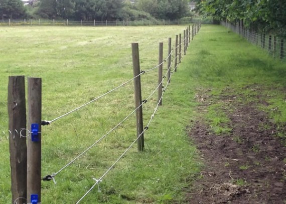 Sheepfold electric fence