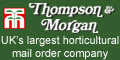 Thomson & Morgan