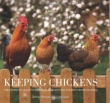 Keeping Chickens