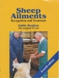 Sheep Ailments: Recognition and Treatment