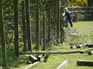 Fencing 2012