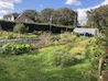 Pickles / Apples / Flower beds