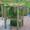 Onions drying