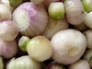 Shallots