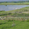 Longcarse smallholding