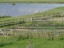 Longcarse smallholding