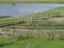 Longcarse smallholding