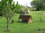 Smallholding scene