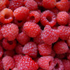 Raspberries