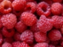 Raspberries