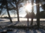 Snow on Carnoustie golf course