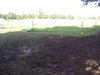 Paddock Paradise