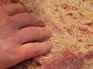 Dry-curing bacon