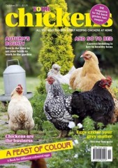 Your Chickens Magazine by 