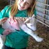 Wilts Horn ewe lamb and female human child.