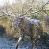 My willow sculpture