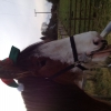 Santas not-so-little helper