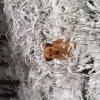 One of the girls looking a little lost in the snow