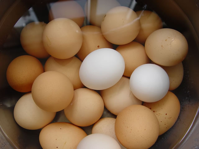 Pickled Eggs The Accidental Smallholder