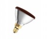 Infra Red PAR 175w Bulb (Ruby)