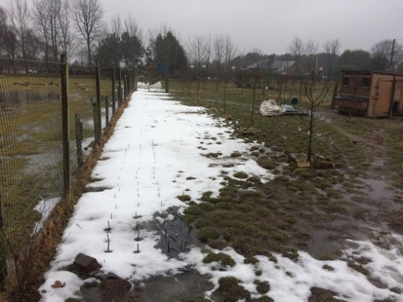 Thawing poultry paddocks