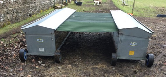 Makeshift lamb shelter