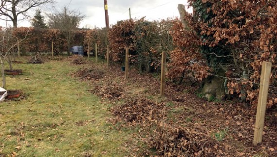 Veg garden fence