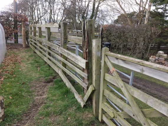 Rickety fence