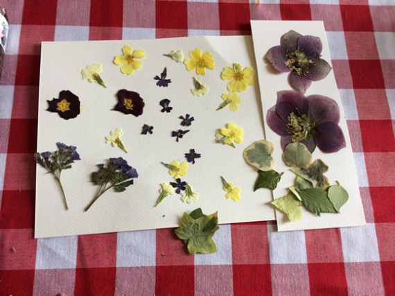 Pressed flowers