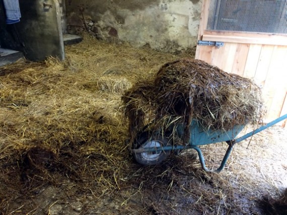 Mucking out the byre