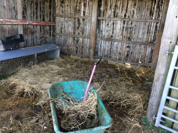 Mucking out field shelter