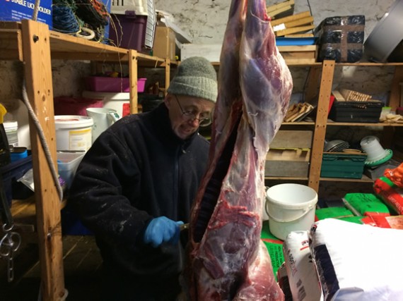 John skinning the deer