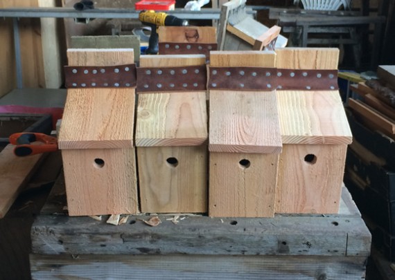 Bird boxes