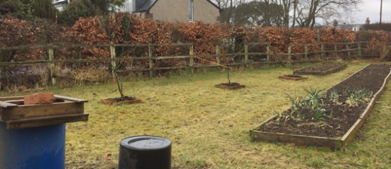 Old veg garden fence